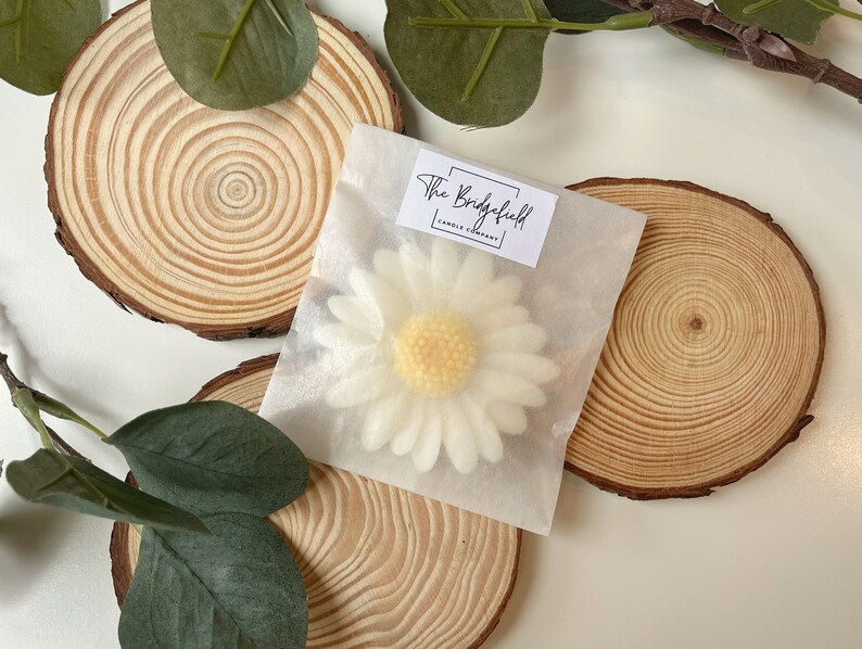 May include: A white daisy candle in a clear bag with the text "The Bridgefield Candle Company" on a white label. The candle is sitting on a wooden slice.