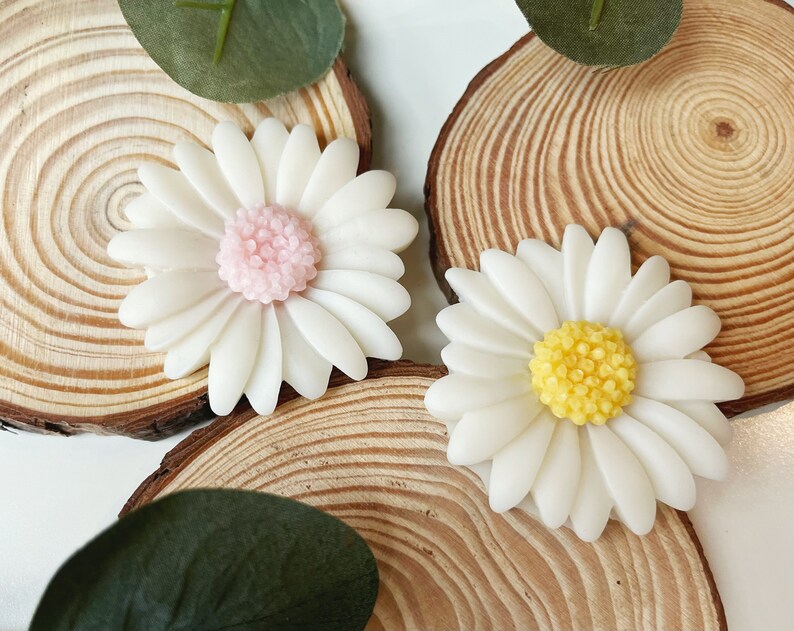 May include: Two white daisy-shaped resin flowers with different colored centers. One flower has a pink center and the other has a yellow center. The flowers are on top of wooden rounds.
