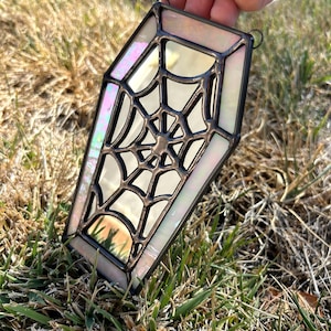 Webbed Mirror Coffin