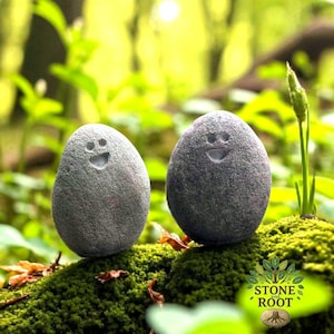 Guijarros de piedra sonrientes tallados a mano, compañeros de escritorio, regalo de compañero de bolsillo, regalo de amistad.