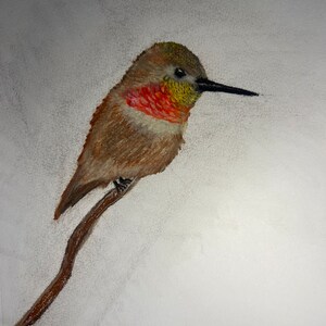 Hummingbird