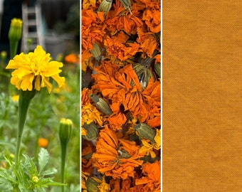 Dried Organic Marigold Flowers for Natural Dyeing & Crafts, 25g