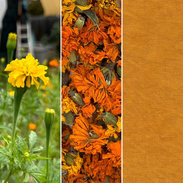 Dried Organic Marigold Flowers for Natural Dyeing & Crafts, 25g