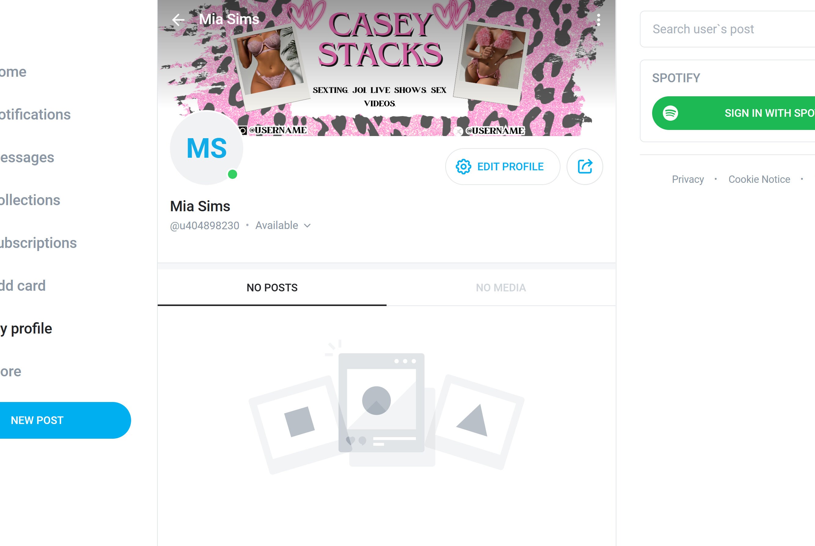 Onlyfans Banner Template great for Cam Models, Fansly, Reddit Onlyfans ...