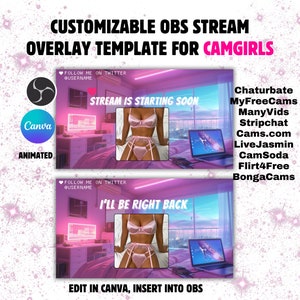 Pink Animated OBS Stream Overlay Template for Camgirls (Digital Download)