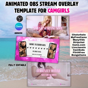 Animated Camgirl OBS Stream Overlay Template (Digital Download)
