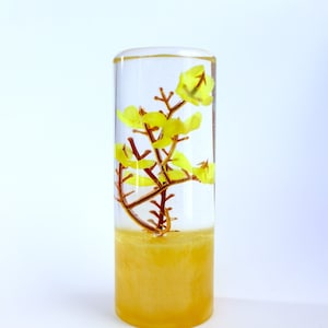 Shiftknob - The Yellow Sakura (Hayakuco)