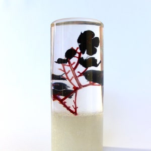 Op de afbeelding: Een transparante glazen cilinder met een witte basis bevat een rood en zwart bloemenmotief. Het motief doet denken aan een gestileerde tak met zwarte bladeren en rode stengels.