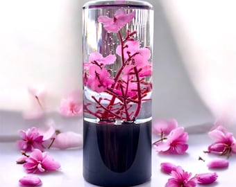 Pookknop - Sakura (Hayakuco)
