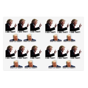 I Did That Whats A Tariff Vinyl 18 Sticker Sheet