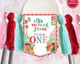 Christmas 1st Birthday Highchair Banner: Pink Mint Santa (Digital Download) 0021
