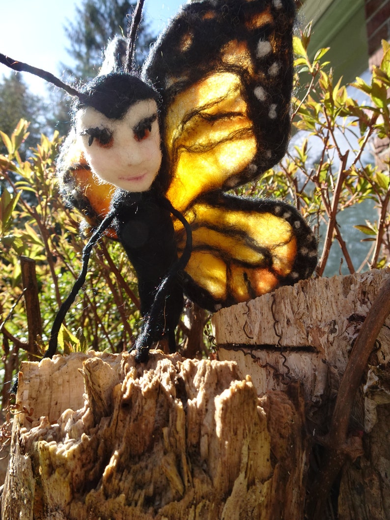 butterfly image 4