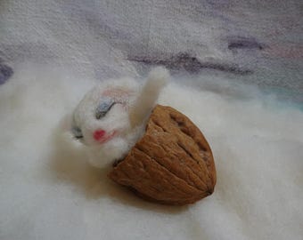 Nutty bunny