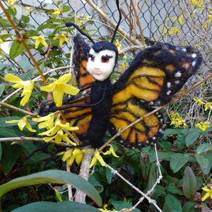butterfly image 2