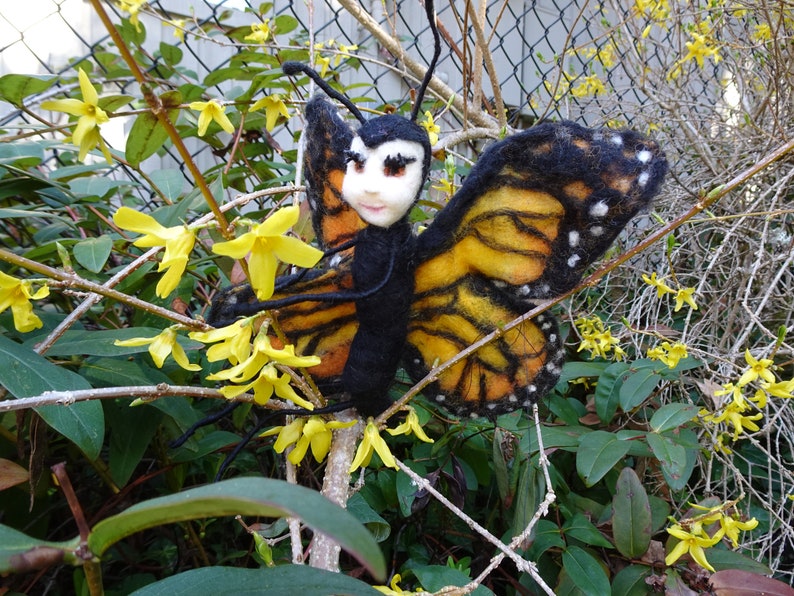 butterfly image 2