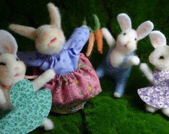 Rabbit family