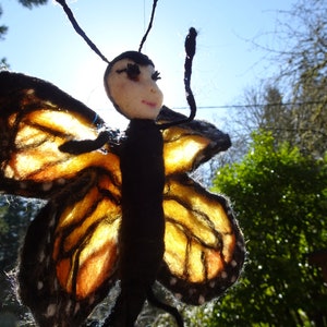 butterfly image 1