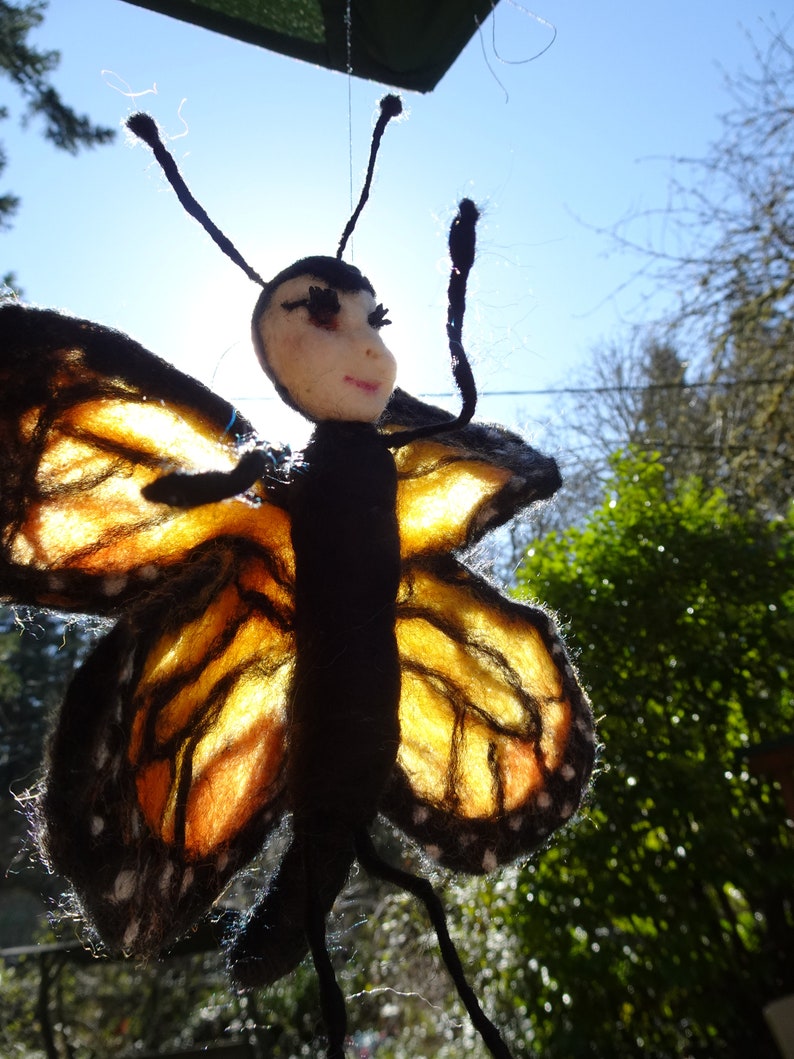 butterfly image 1