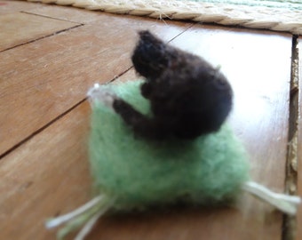 tiny sleeping black cat