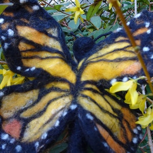 butterfly image 3