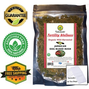 Organic Jamaican Dog Blood bush (includes tea bags) 1oz Fertility bush | Pregnancy herbs | Herbal Womb Tea | Rivina Humilis | Wild-Harvested