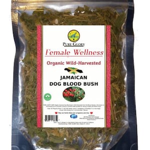 Fertility Bush | Wholesale / Bulk |Organic Jamaican Dog Blood bush| Rivina Humilis | Wild-Harvested | Best for Womb Tea | Free Shipping USA