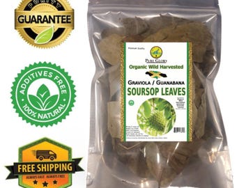 Organic Soursop Leaves | Premium Quality Graviola Leaves | Hojas de guanabana | Best for Soursop tea | Wild-Harvested Naturally Sun dried