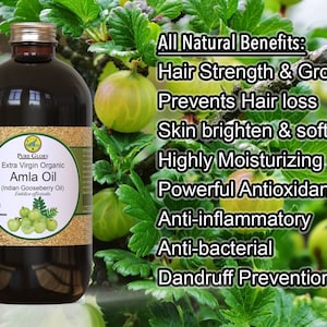 Organic Amla Oil 100% Pure Extra Virgin 2oz Glass Bottle Indian Gooseberry Oil Cold Pressed Best for Hair Growth and Moisturizing image 5