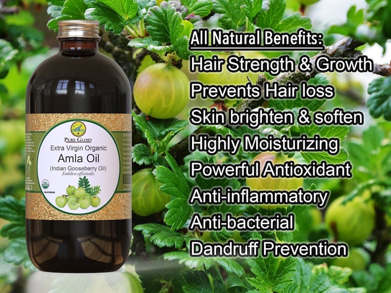 Organic Amla Oil 100% Pure Extra Virgin 2oz Glass Bottle Indian Gooseberry Oil Cold Pressed Best for Hair Growth and Moisturizing image 5