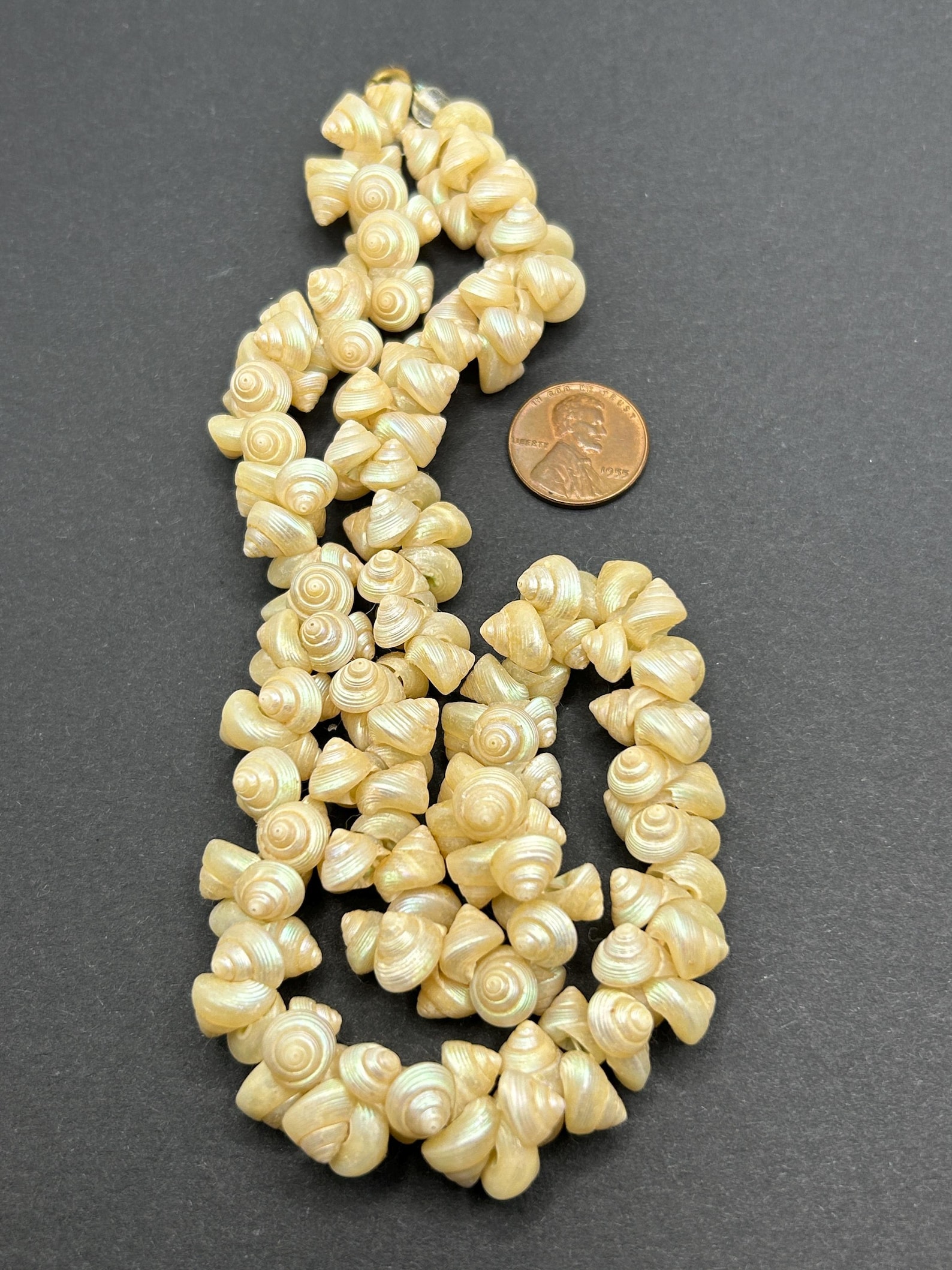 Victorian Tasmanian Trochus Shell Necklace - Length 18 Inches - Circa ...