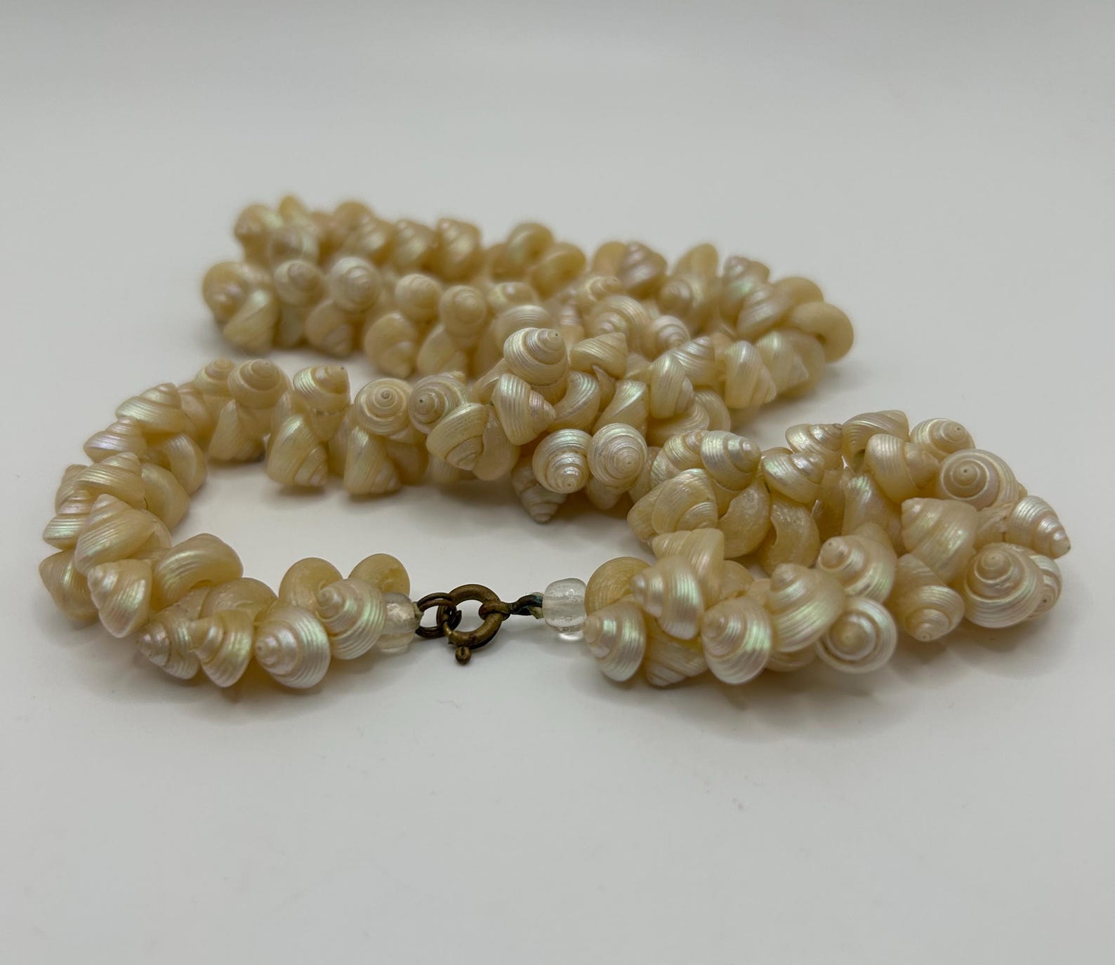 Victorian Tasmanian Trochus Shell Necklace - Length 18 Inches - Circa ...