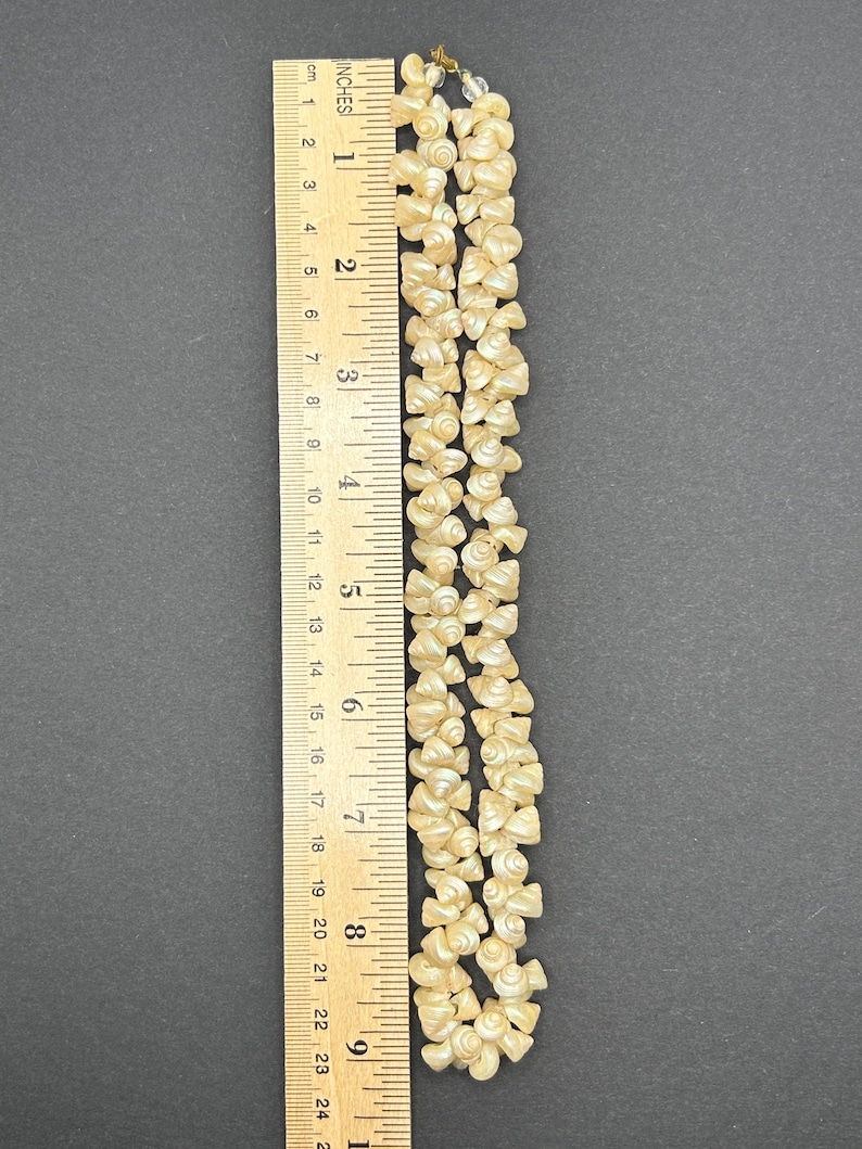 Victorian Tasmanian Trochus Shell Necklace - Length 18 Inches - Circa ...