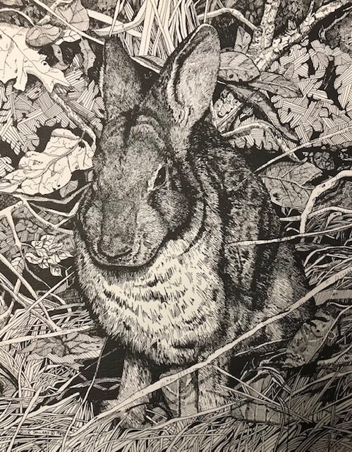 The Hare - Print of Original Pen & Ink Drawing- Art Print- Black/White or Color Versions