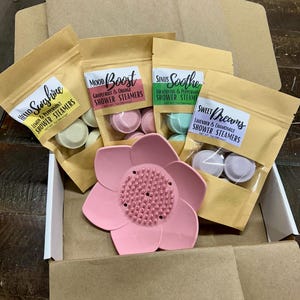 Paquete variado de vaporizadores de ducha de aromaterapia: aceites esenciales, mentol - paquete de 4 de cada aroma.