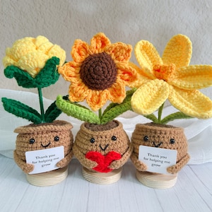 手作りかぎ針編みのひまわり/バラ/チューリップの植物、かぎ針編みの花、編み物の花鉢、感情的な植物のかぎ針編み、先生への贈り物、編み物の母の日ギフト