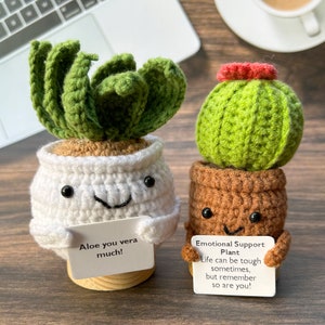 Handmade Crochet Cactus/Aloe Plants,Crochet Succulent,Emotional Support Plants,Personalized Gifts,Office Desk Plant,Gifts For Boss/Teacher