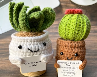 Handmade Crochet Cactus/Aloe Plants,Crochet Succulent,Emotional Support Plants,Personalized Gifts,Office Desk Plant,Gifts For Boss/Teacher
