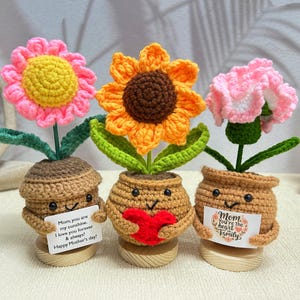 Handmade Crochet Sunflower/Carnation/Daisy Pot Plant,Crochet Flowers,Warm Gift,Mother&#39;s Day Gift,Home Decor,Love Gifts,Handmade Gift for Mom