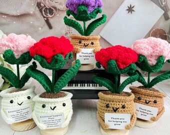 Cute Crochet Rose Potted Plant,Personalized Decor Gifts,Thinking Of You Gift,Housewarming Gifts,Gift For Her,Desk Decor,Mother's Day gift