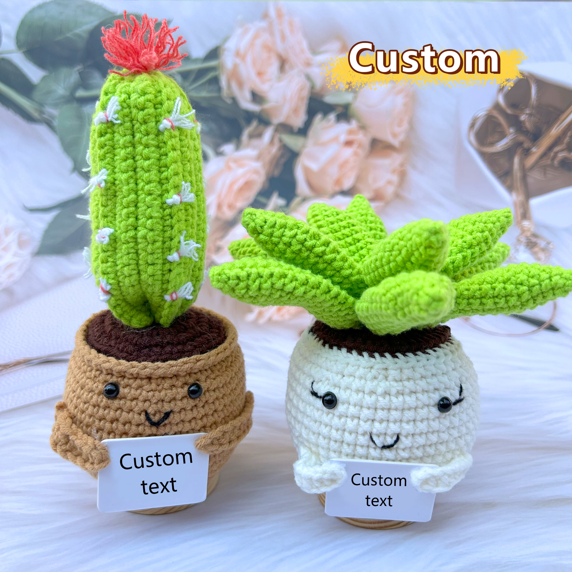 Positive Crochet Cactus/succulent Plants Caring Gift,handmade Crochet  Plants,encouragement Gift,graduation Gift,rooting for You,teacher Gift -  Etsy Ireland