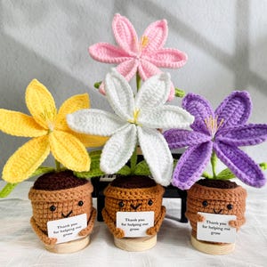 Cute Crochet Lily Potted Plants,Crochet Lily,Thank You Crochet Flowers,Emotional Support Plant,Teacher Gift,Desk Decor,Gifts For Mom/Grandma