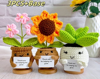 Tournesol/plante succulente/Forget Me Not en pot au crochet, Merci de m&#39;avoir aidé à grandir, Cadeaux pour les enseignants, Fleurs au crochet, Plante de soutien émotionnel