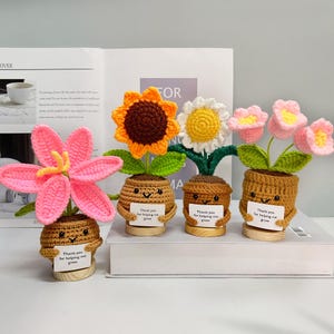 Crochet Sunflower/Daisy/Tulip/Lily of the Valley Plants,Helping Me Grow Flower,Crochet Desk Decor,Sunflower Appreciation Gifts,Teacher Gifts