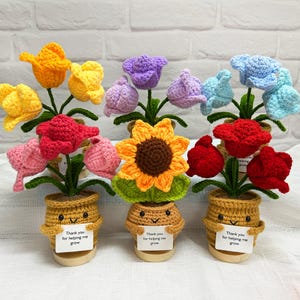 Peut inclure: Cinq pots de fleurs en crochet avec des fleurs de différentes couleurs. Chaque pot a un visage souriant et une note de remerciement qui dit "Merci de m'aider à grandir".