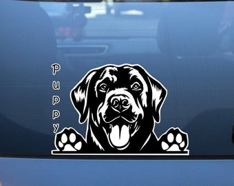 Adesivo personalizzato Labrador Retriever