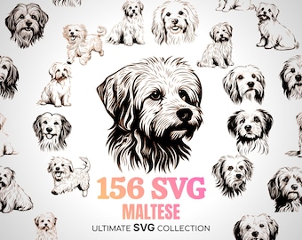 Maltese Dog SVG Maltese Mom Gifts Maltese Dog Clipart Cute Maltese Puppy Maltese Lion Dog Gigi Hadids Maltese Luxury Style Maltese Memorial