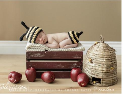 Newborn Baby Bumble Bee Crochet Photo Prop Hat and Bottom Cover Set - Etsy