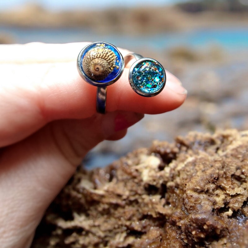Studio Rings Sea Shell Seashell Ring - Etsy