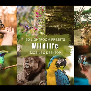 May include: A collage of images featuring various animals in their natural habitats. The images include a hummingbird, a lion, a parrot, a deer, a cat, and a bird. The text "50 Lightroom Presets Wildlife Mobile & Desktop" is displayed in the center of the collage.
