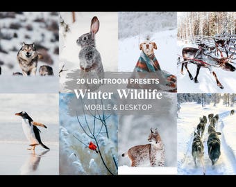 Winter Wildlife Lightroom Presets, Mobile & Desktop (DNG, XMP)